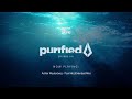 Purified Radio 381