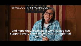 Top Online Dog Training Courses: Unlock a World of Canine Learning 🐕📚 by Dog Training 360 13 views 6 months ago 1 minute, 27 seconds