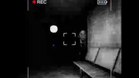 Content Warning - Snailman Interview Goes Horribly Awry