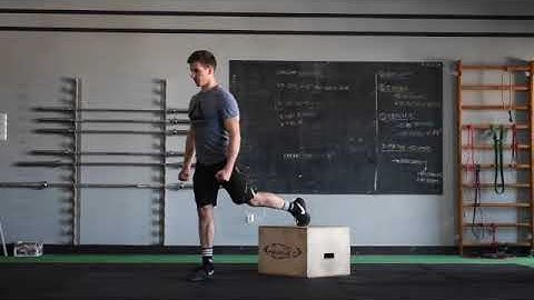 1-1:2 RFE Split Squat (Bulgarian) Bodyweight with Pulse