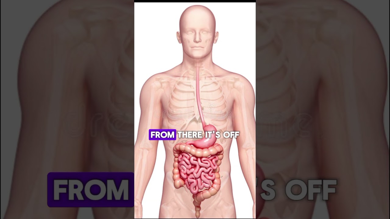 HIDDEN FACT: WHAT HAPPENS WHEN GUAVA SEEDS ARE SWALLOWED 😉