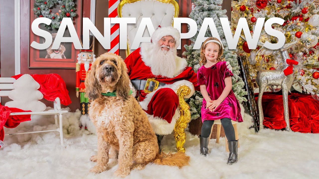 Santa Paws 2024 at Mercedes-Benz of Wilsonville | Community Photo Event Recap - YouTube