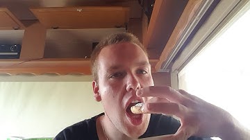 Beschuit met gestampte muisjes