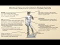 Bacterial Etiologies of Common Infections (Antibiotics - Lecture 2)