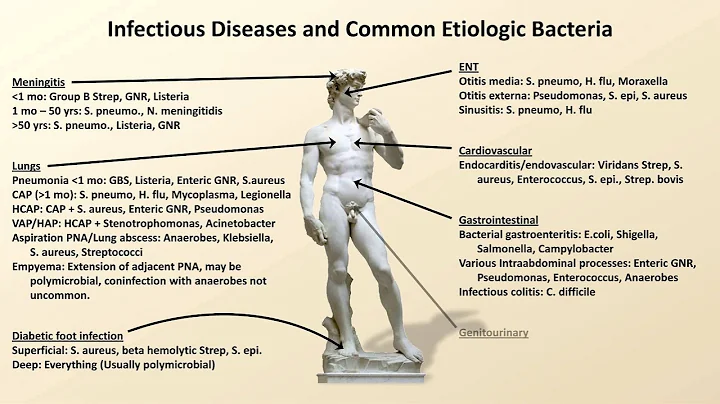 Bacterial Etiologies of Common Infections (Antibiotics - Lecture 2) - DayDayNews