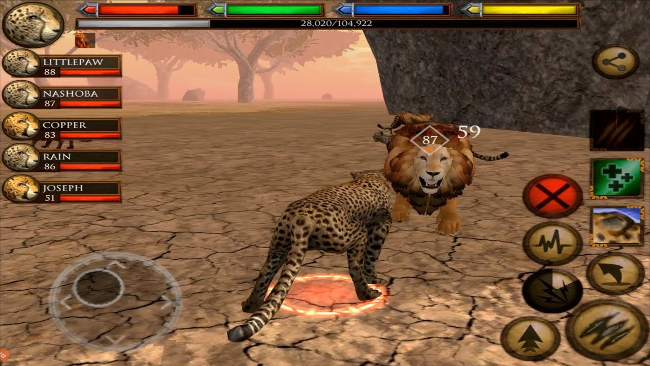 Cheetah Family Simulator, Cheetah VS Lion, By Gluten Free Games - YouTube