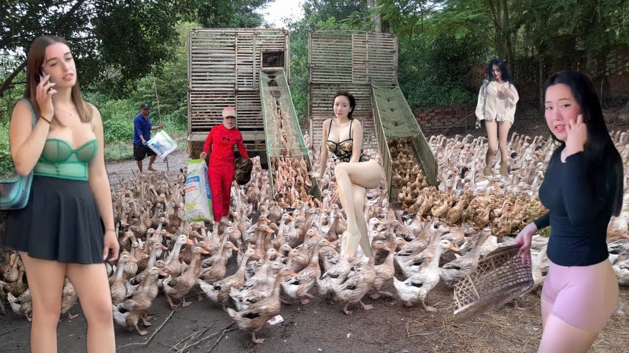  Cận cảnh người dân xôn xao l lùa đàn dịch lên xe tải