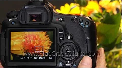 Introduction to the Canon 60D: Basic Controls