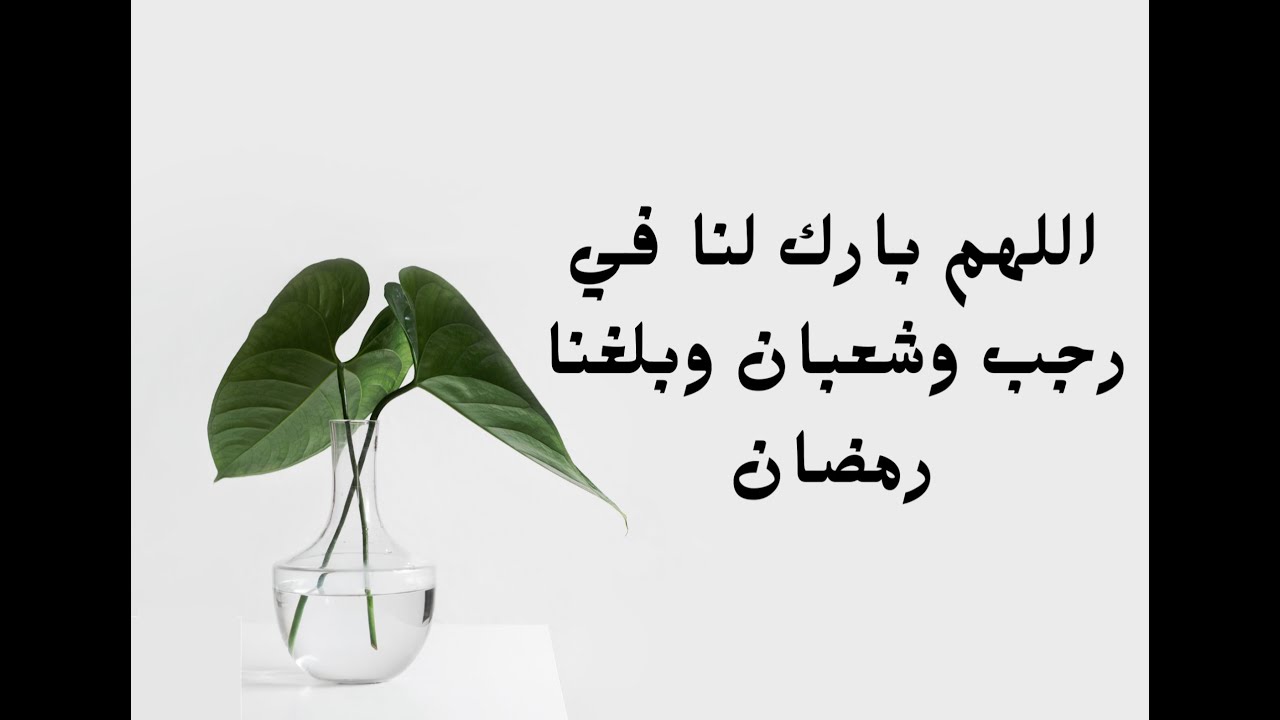 الاستعداد لرمضان في رجب و شعبان 8 - رسالة رمضان-المكتوب 29║5-6║تقديم: د عصام معتصم نامق║ت 128