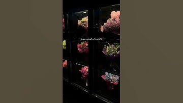 #اكسبلور #المصحف #إسلام_صبحي #لايك #تلاوة_خاشعة