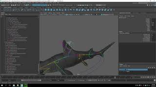 Hammerhead Shark Rig Test