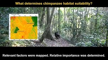 Remote Sensing and GIS for Chimpanzee habitat suitability modelling  and Conservation