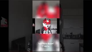 Как Быть Фурри 7/8 #Anifur #Shorts #Furry #Video