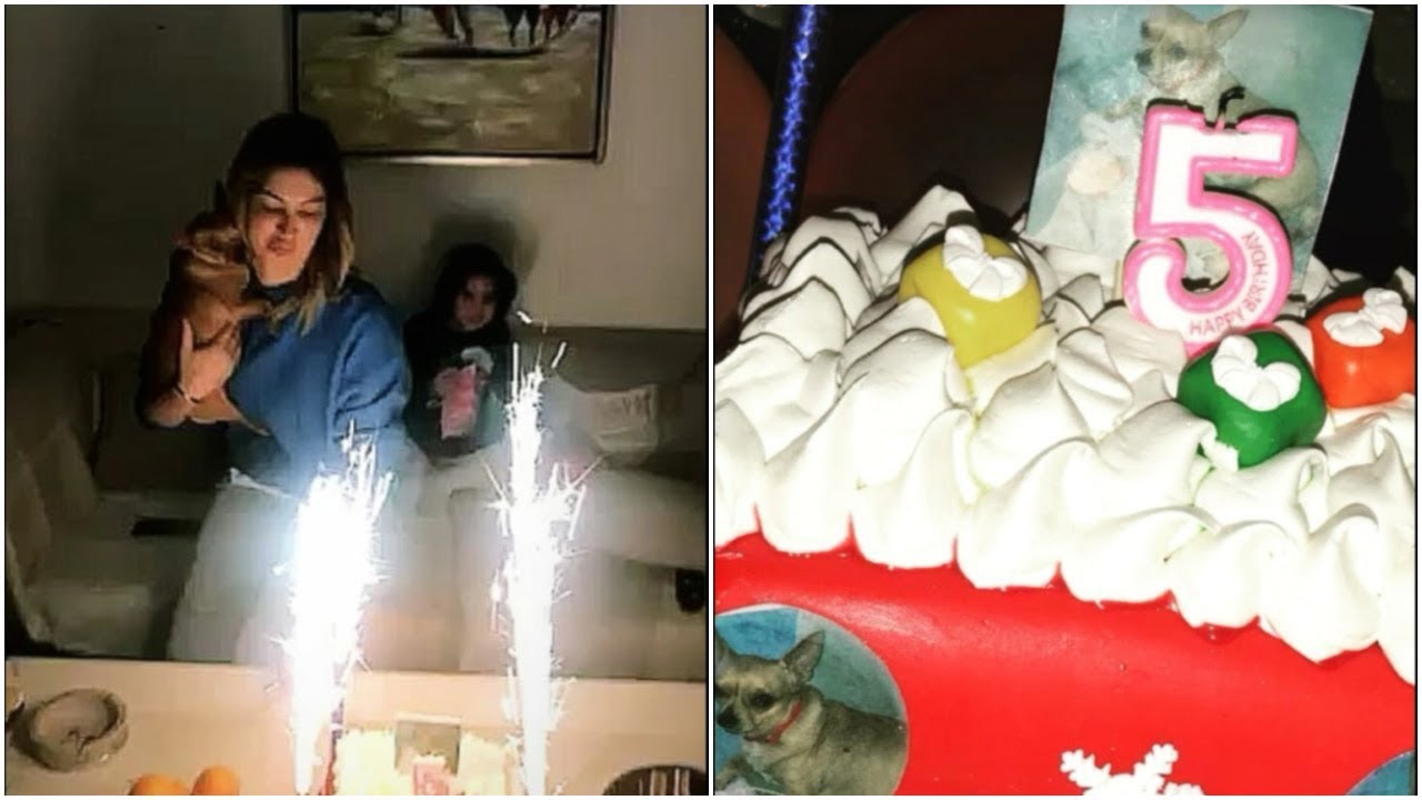 مريم الدباغ تحتفل بعيد ميلاد كلبتها شانو Youtube