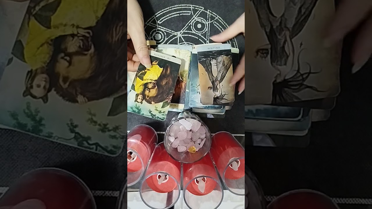 Sự chuyển hóa trong MQH của bạn Minh Phương tarot Zalo 097 659 8884 Em gái miền Tây