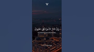 لو كانوا يعلمون #explore #المصحف #تلاوة_خاشعة #اكسبلور #قرآن