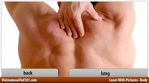 Learn Vietnamese with Pictures - All Parts of the Body