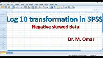 LOG10 transformation of negative skewed data in SPSS