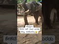 ಕೇಶವ ದೃಷ್ಟಿ ಕಳೆದುಕೊಂಡಿದನೆ 💔|#followforfollowback #followme #viralreels #viral #shortsfeed #shorts