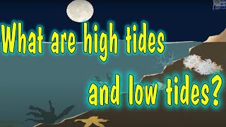 HIGH AND LOW TIDES, AS AND WHY ANIMATION WELL EXPLAINED