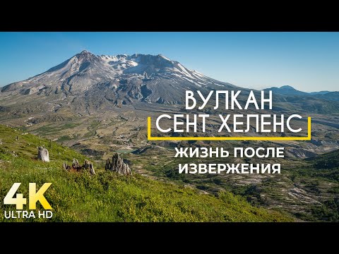 Вулкан Сент-Хеленс, Штат Вашингтон - Жизнь после извержения - Документальный фильм о природе