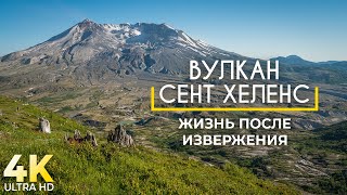 Вулкан Сент-Хеленс, Штат Вашингтон - Жизнь После Извержения - Документальный Фильм О Природе