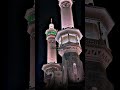 Tu Hi Khuda Ka Chehra Hai Mola || Dil Bhi Ali Jaan Bhi Ali 🙌🏻/ #naat #viral #trending #shorts #short