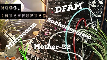 MOOG, INTERRUPTED  ||  Moog Sound Studio (feat. DFAM, Mother-32, Subharmonicon) & Microcosm