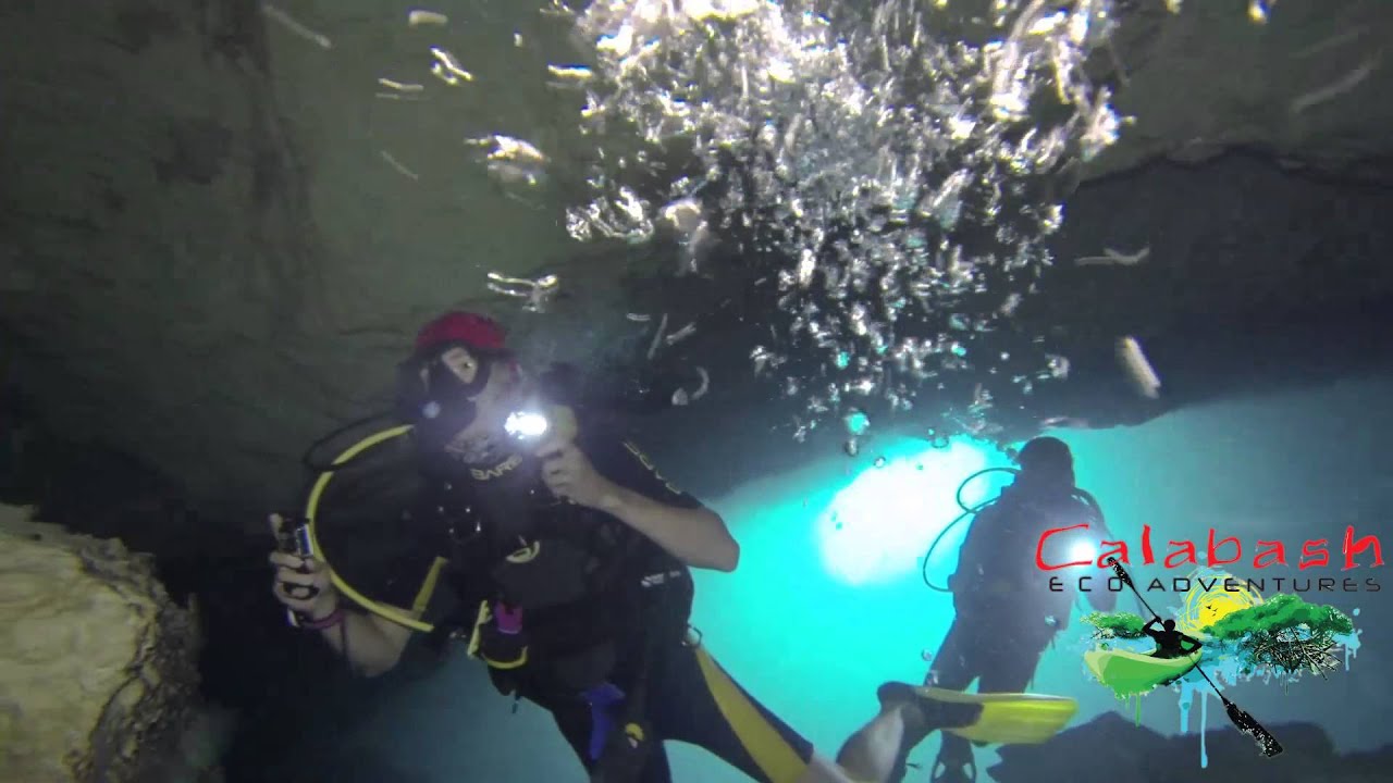 Freeport, Grand Bahama Owl's Hole Cave Dive June 17 2015 YouTube
