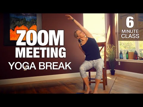 Zoom Meeting Yoga Break (6 Min Yoga Class), a free yoga class with Erin Sampson