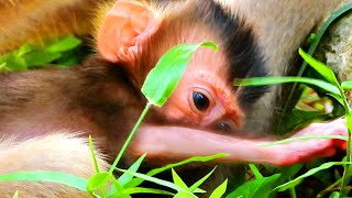 Mummy Rose Dont Understand Well How To Keep Bb Rex More Comfortable