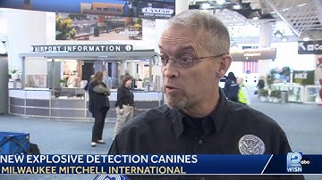 LIVE: TSA introduces new three explosive detection canines and their handlers