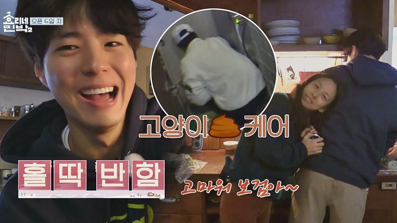 (효리 반했어♡) '고양이 똥 케어'까지 완벽한 박보검 효리네 민박2 8회