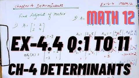Determinants | Chapter 4 | NCERT SOLUTIONS | Math 12th