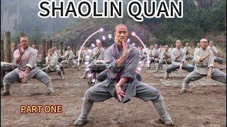 # 1 ，Kung fu workout at home ; Shaolin 7 movements changquan workout that make you heathy and happy