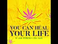 Josh heinrichs  inna vision you can heal your life 2023