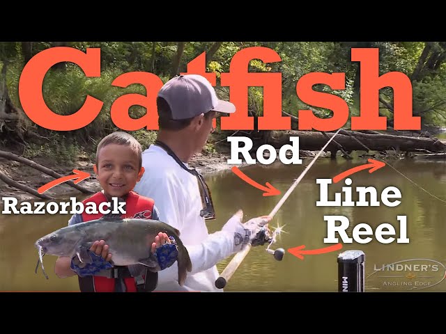 Summer River Channel Catfish Gear (Rod-Reel-Line) + a Razorback! 