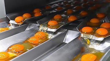Most Satisfying Factory Machines and Ingenious Tools