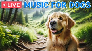 Dog MusicCalming Music for DogsAnti Separation anxiety Relief  Best Dog Sleeping video