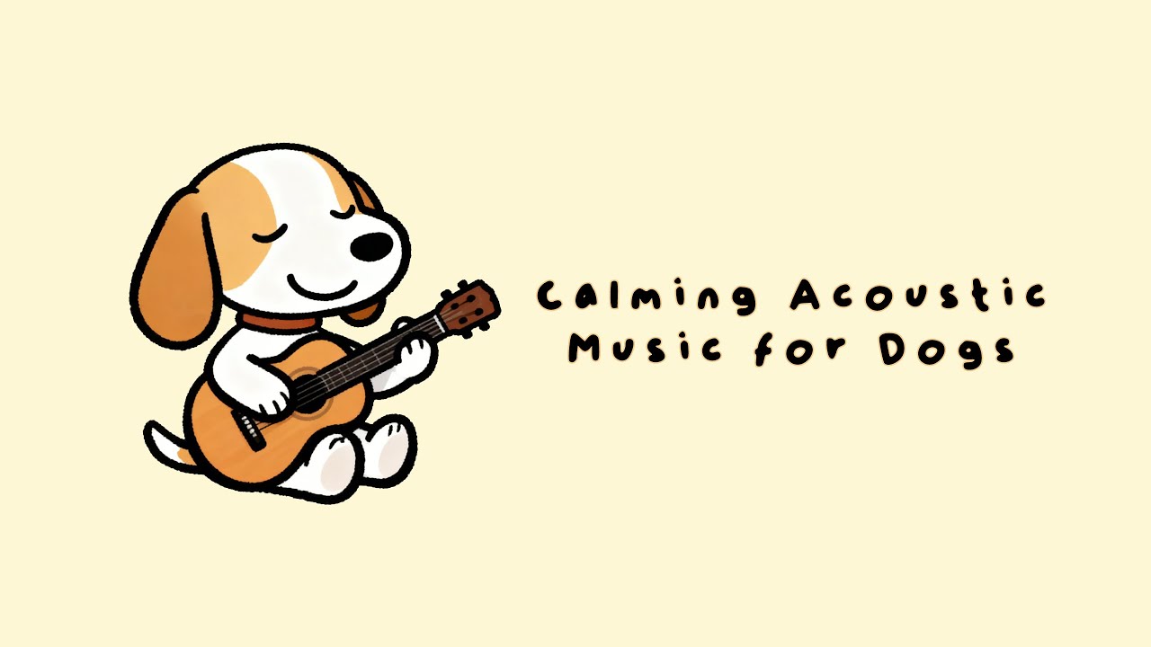 Calming Music for Dogs 🐾 Gentle Acoustic for Relaxation | 4 Hour ...