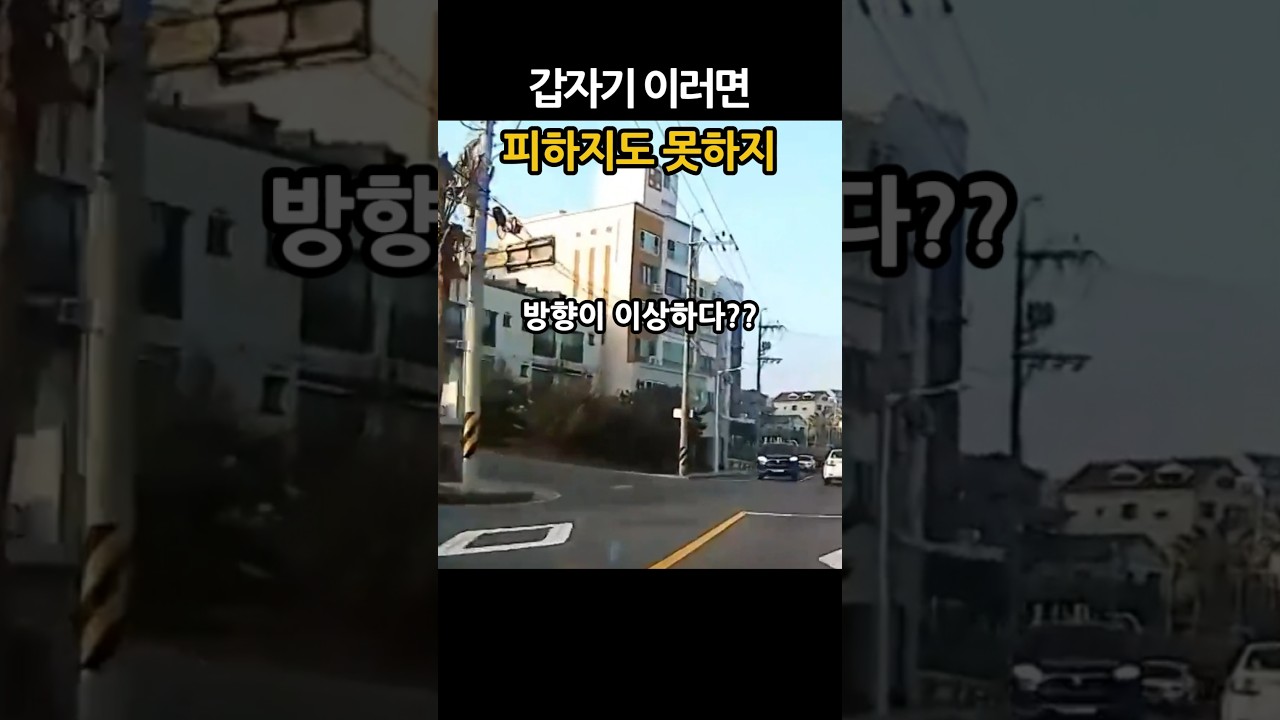 제주도 한적한 도로 갑자기 이러면 피하지도 못하지