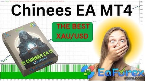 Chinees EA MT4 Review + Setting | EA Forex Store