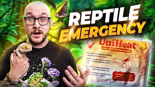 How To Save Your Reptiles Life In An Emergency! Blizzards, Hurricanes and other Disasters Solved!