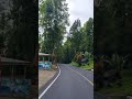 PERBATASAN KAB.CIANJUR-KAB.BANDUNG#hutan #nature #explore