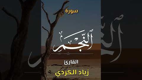 سورة النّجم | اكتب كلمة طيبة تكون مأجورا عليها إن شاء الله