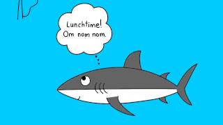 Stick News Australian Surfer Mick Fanning Attacked By Great White Shark