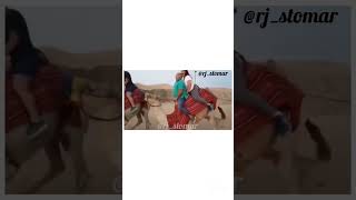 Download Lagu Camel Ruk Ja 😂 Funny Animals Dubbed Video #funny #voiceover #rjstomar MP3