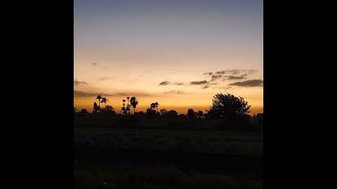 القارئ محمد سلامة | ما تيسر من سورة الإسراء ١ | تراويح 1446ه