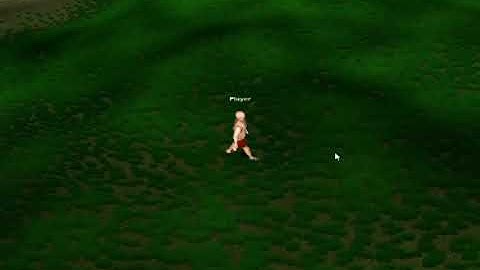 MMORPG Ported to UNITY3D