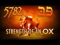 Strength of an OX - 5781 to 5782 Hebrew Calendar LIVE!